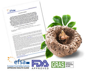 EFSA priznala rastlinske vlaknine